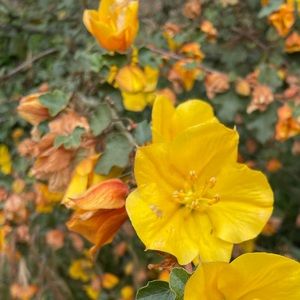 Meet your Posher, Sue